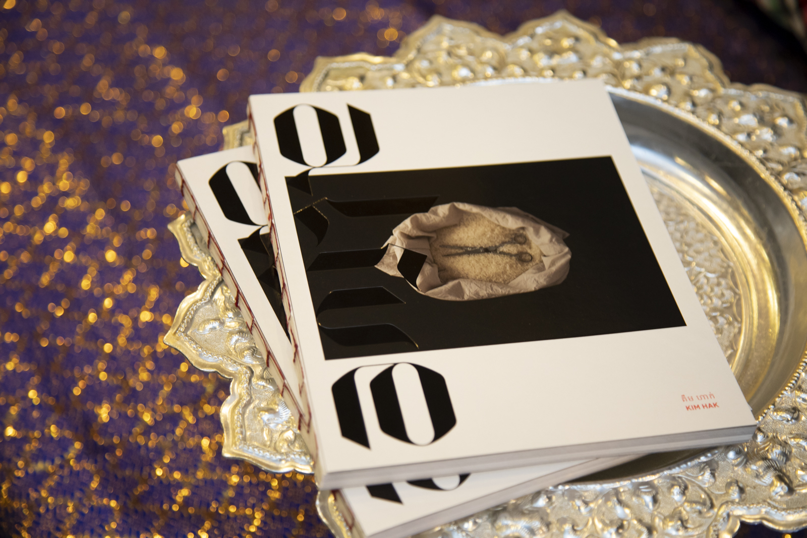 Kim Hak's Alive book is launched, works acquired by Auckland Museum main image